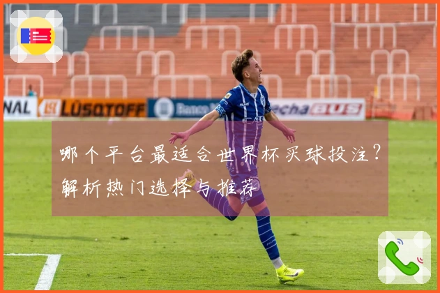 哪个平台最适合世界杯买球投注？解析热门选择与推荐