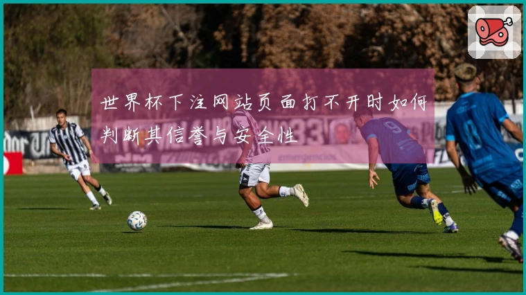 世界杯下注网站页面打不开时如何判断其信誉与安全性