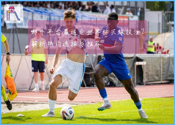 哪个平台最适合世界杯买球投注？解析热门选择与推荐